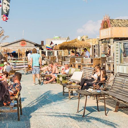 Albatros Aan Zee - Apartment Zandvoort Eksteriør billede