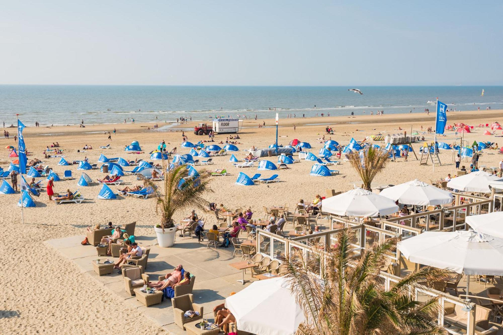 Albatros Aan Zee - Apartment Zandvoort Eksteriør billede